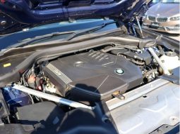 BMW X3 X DRIVE 20I X LINE HI-LINE PACKAGE 2020 full