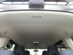 HONDA FREED G L PACKAGE 2008 full