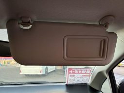 TOYOTA RACTIS G 2010 full