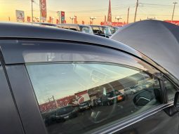 TOYOTA RACTIS G 2010 full