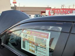 TOYOTA RACTIS G 2010 full