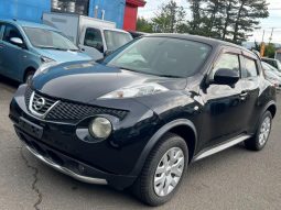 NISSAN JUKE 15RX TYPE V 2011 full