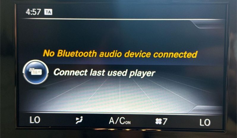 Mercedes-Benz C-Class C250 2015 full