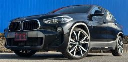 BMW X2 X DRIVE 20I M SPORT X 2018 full
