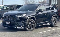 TOYOTA RAV4 G Z PACKAGE 2019 full