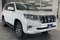 TOYOTA LAND CRUISER PRADO TX L 2019 full