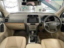 TOYOTA LAND CRUISER PRADO TX L 2019 full