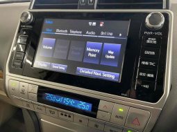 TOYOTA LAND CRUISER PRADO TX L 2019 full