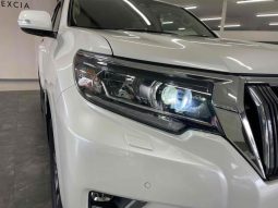 TOYOTA LAND CRUISER PRADO TX L 2019 full