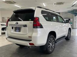 TOYOTA LAND CRUISER PRADO TX L 2019 full