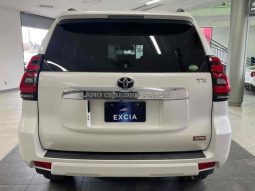 TOYOTA LAND CRUISER PRADO TX L 2019 full