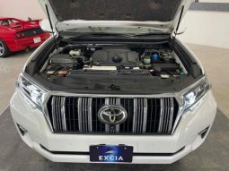 TOYOTA LAND CRUISER PRADO TX L 2019 full
