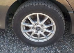 Toyota Noah SI 2010 full