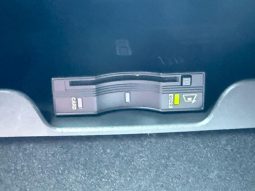 CHRYSLER JEEP JEEP GRAND CHEROKEE TRAILHAWK 2020 full