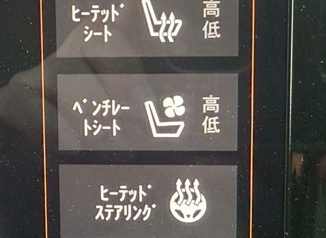 CHRYSLER JEEP JEEP GRAND CHEROKEE TRAILHAWK 2020 full