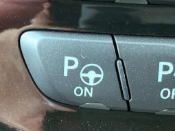 CHRYSLER JEEP JEEP GRAND CHEROKEE TRAILHAWK 2020 full