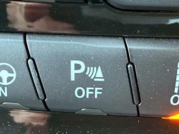 CHRYSLER JEEP JEEP GRAND CHEROKEE TRAILHAWK 2020 full