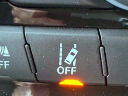 CHRYSLER JEEP JEEP GRAND CHEROKEE TRAILHAWK 2020 full