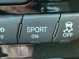 CHRYSLER JEEP JEEP GRAND CHEROKEE TRAILHAWK 2020 full