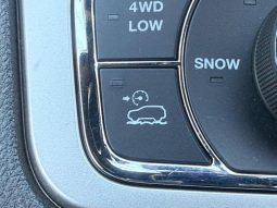 CHRYSLER JEEP JEEP GRAND CHEROKEE TRAILHAWK 2020 full