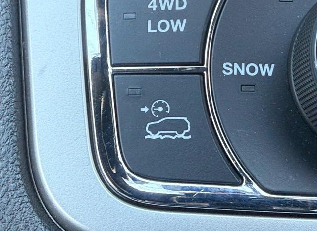 CHRYSLER JEEP JEEP GRAND CHEROKEE TRAILHAWK 2020 full