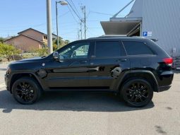 CHRYSLER JEEP JEEP GRAND CHEROKEE TRAILHAWK 2020 full