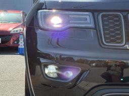 CHRYSLER JEEP JEEP GRAND CHEROKEE TRAILHAWK 2020 full