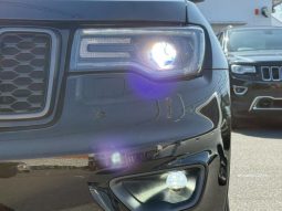 CHRYSLER JEEP JEEP GRAND CHEROKEE TRAILHAWK 2020 full