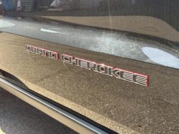 CHRYSLER JEEP JEEP GRAND CHEROKEE TRAILHAWK 2020 full