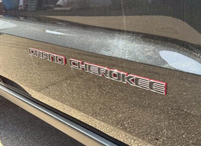 CHRYSLER JEEP JEEP GRAND CHEROKEE TRAILHAWK 2020 full