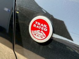 CHRYSLER JEEP JEEP GRAND CHEROKEE TRAILHAWK 2020 full