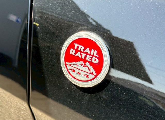 CHRYSLER JEEP JEEP GRAND CHEROKEE TRAILHAWK 2020 full