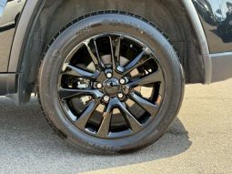 CHRYSLER JEEP JEEP GRAND CHEROKEE TRAILHAWK 2020 full