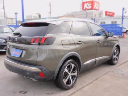 PEUGEOT 3008 GT BLUE HDI 2019 full