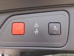 PEUGEOT 3008 GT BLUE HDI 2019 full