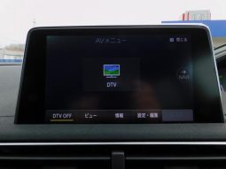 PEUGEOT 3008 GT BLUE HDI 2019 full