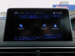 PEUGEOT 3008 GT BLUE HDI 2019 full