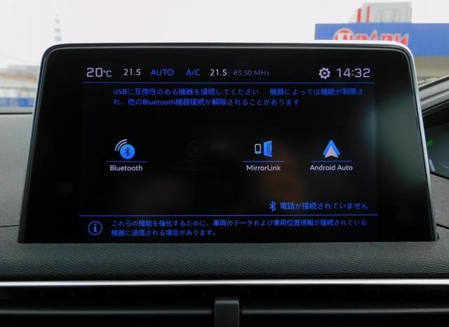PEUGEOT 3008 GT BLUE HDI 2019 full