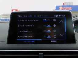 PEUGEOT 3008 GT BLUE HDI 2019 full