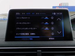 PEUGEOT 3008 GT BLUE HDI 2019 full