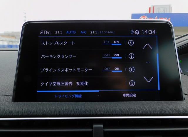 PEUGEOT 3008 GT BLUE HDI 2019 full