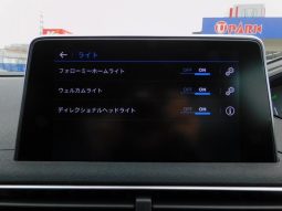 PEUGEOT 3008 GT BLUE HDI 2019 full