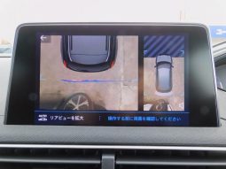 PEUGEOT 3008 GT BLUE HDI 2019 full