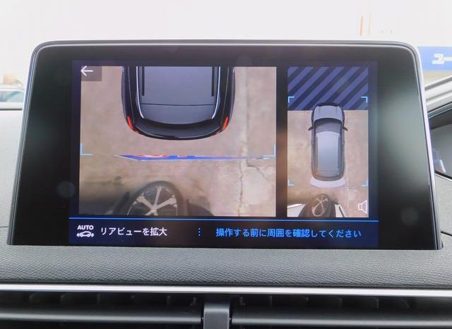 PEUGEOT 3008 GT BLUE HDI 2019 full