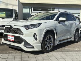 TOYOTA RAV4 G Z PACKAGE 2019