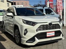 TOYOTA RAV4 G Z PACKAGE 2019 full