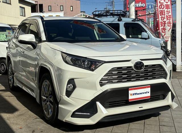 TOYOTA RAV4 G Z PACKAGE 2019 full