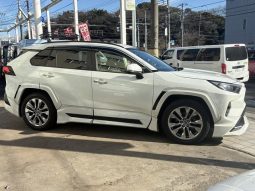 TOYOTA RAV4 G Z PACKAGE 2019 full