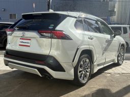 TOYOTA RAV4 G Z PACKAGE 2019 full