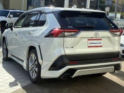 TOYOTA RAV4 G Z PACKAGE 2019 full